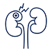 Autoimmune Kidney Diseases