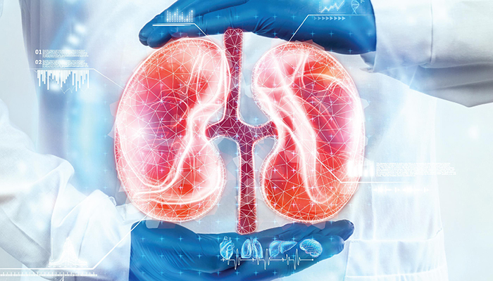 Why Regular Kidney Checkups are Critical After 40