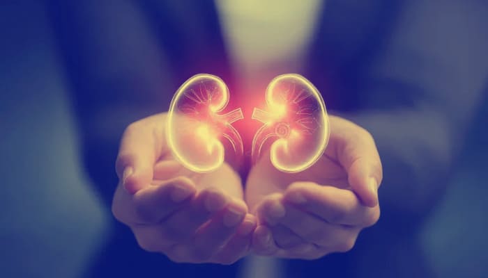 Why Regular Kidney Checkups Are Essential After Age 40