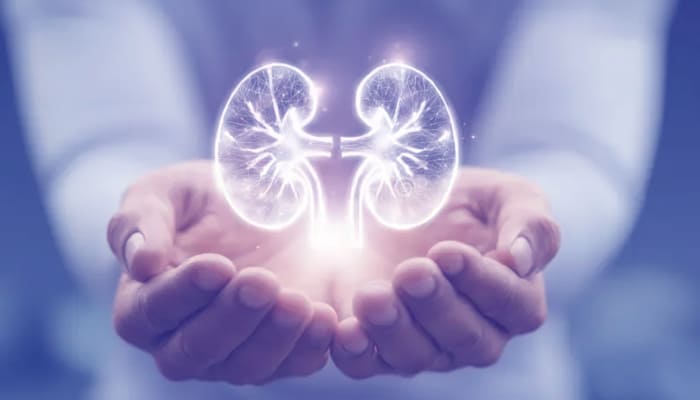 How Polycystic Kidney Disease Affects Your Body