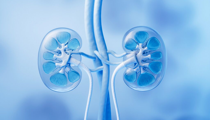 A Simple Guide to the Stages of Chronic Kidney Disease
