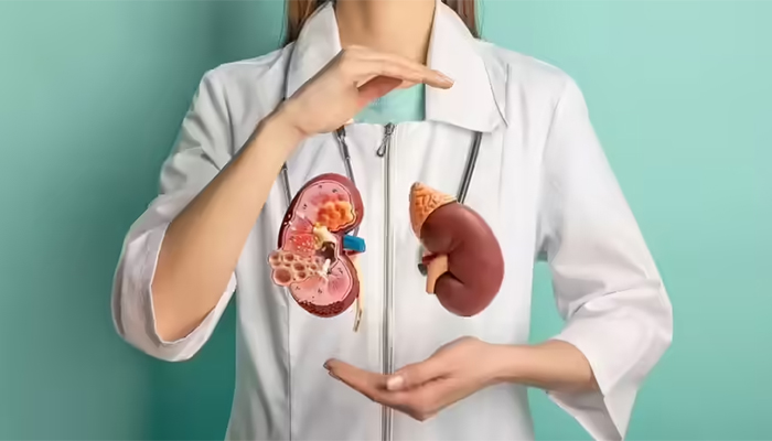 What Your Kidney Test Report Really Means